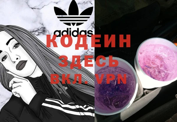 ECSTASY Алзамай