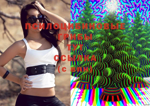 мет Абдулино