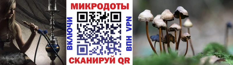 Галлюциногенные грибы MAGIC MUSHROOMS  MEGA ссылка  Юрга 