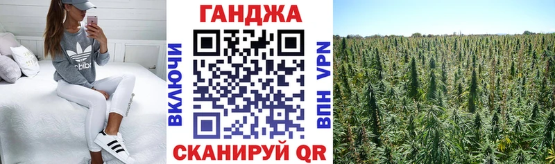 Канабис планчик  даркнет сайт  Юрга 